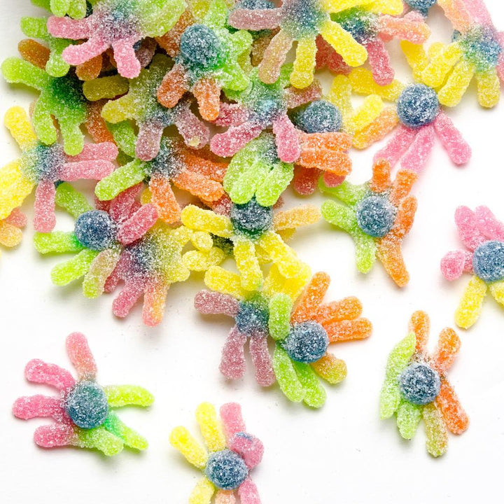 Candy Club Sour Candy Octopus